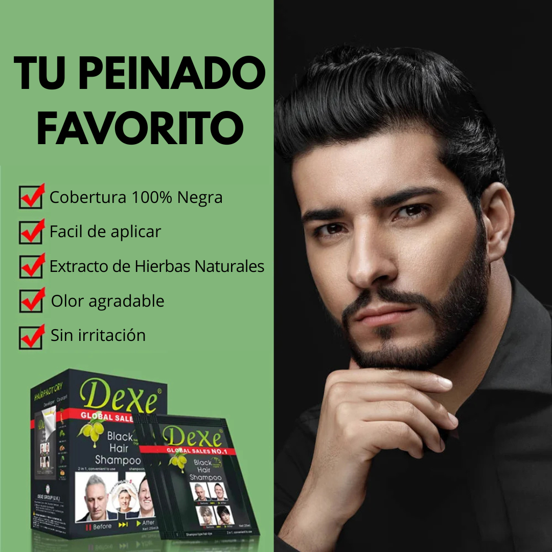 Champú Tinte Negro DEXE para Canas