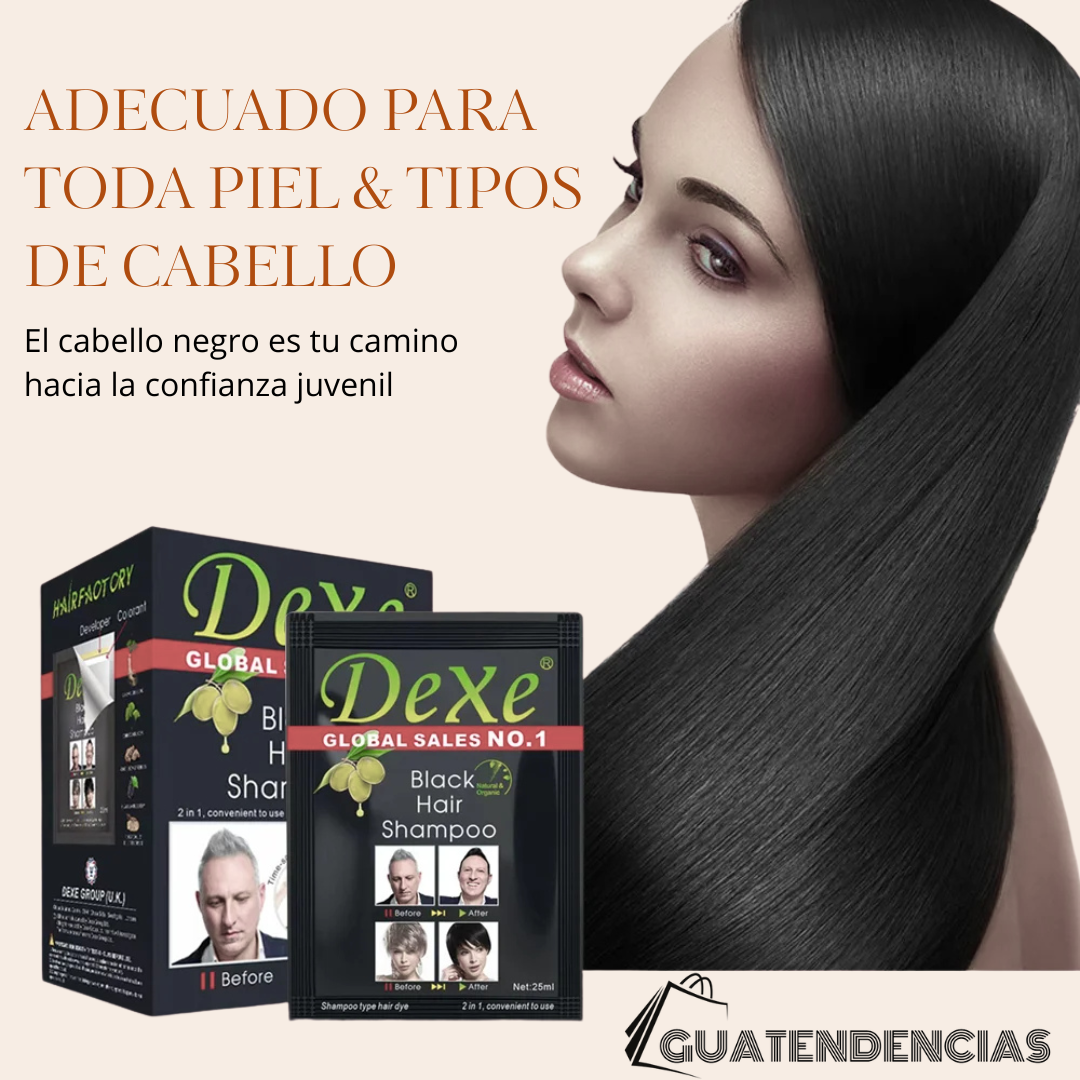 Champú Tinte Negro DEXE para Canas